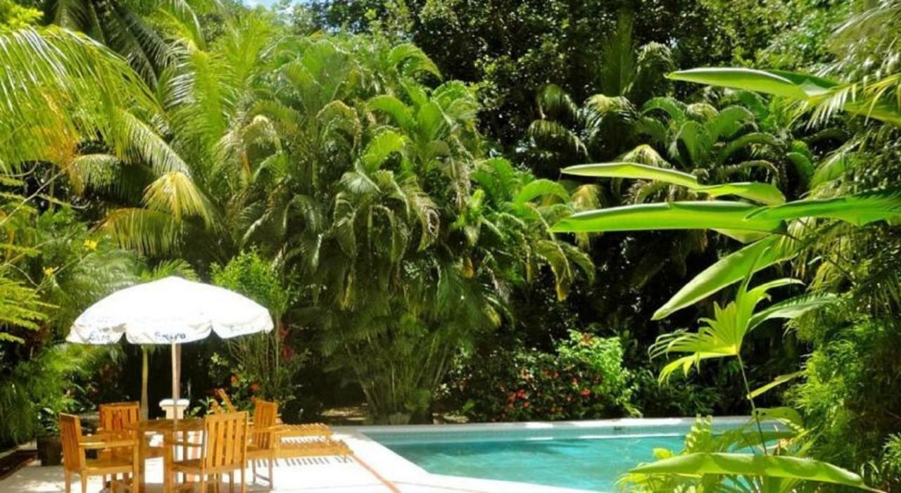 Hotel Roca Verde Beachfront Puntarenas Exterior photo